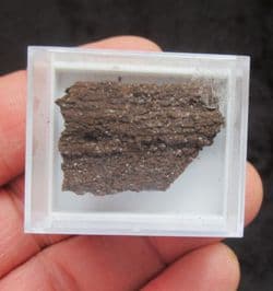 Druzy fossil wood