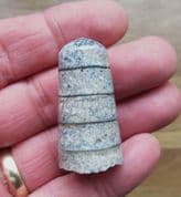Geisoniceras Orthocone