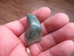Green fossil Swampwood!