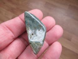 Green fossil Swampwood!