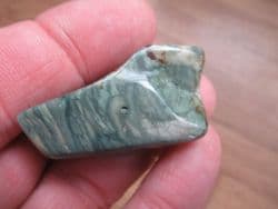 Green fossil Swampwood!