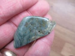 Green fossil Swampwood!