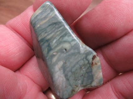 Green fossil Swampwood!