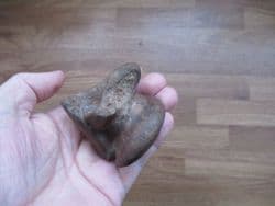 Horse Astragalus ankle bone