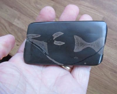 Ichthyosaur polished bones