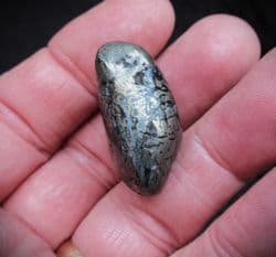 Ichthyosaurus bone in a Polished beach pebble
