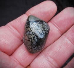 Ichthyosaurus bone in a Polished beach pebble