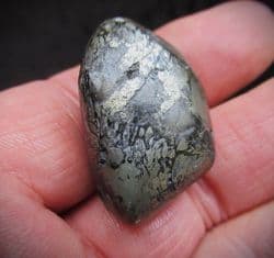 Ichthyosaurus bone in a Polished beach pebble