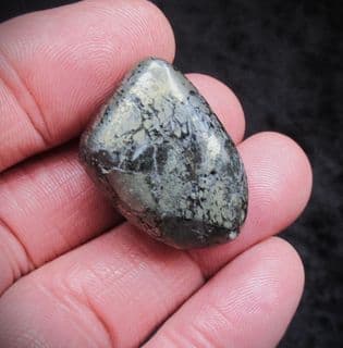 Ichthyosaurus bone in a Polished beach pebble