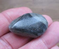 Ichthyosaurus polished pebble containing bones