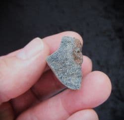 Ichthyosaurus  rib  section from Gloucester