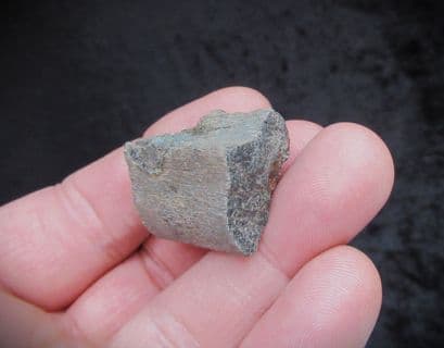 Ichthyosaurus rib section from Gloucester