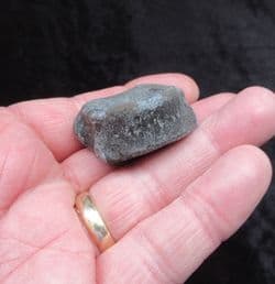 Ichthyosaurus  vertebra from the Jurassic coast