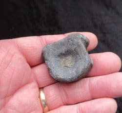 Ichthyosaurus  vertebra from the Jurassic coast