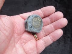 Ichthyosaurus  vertebra from the Jurassic coast