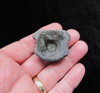 Ichthyosaurus vertebra from the Jurassic coast