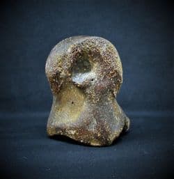 Juvenile Bison Toe bone