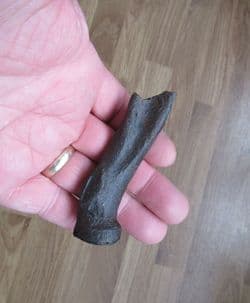 Llama radius from Florida