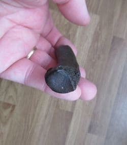 Llama radius from Florida