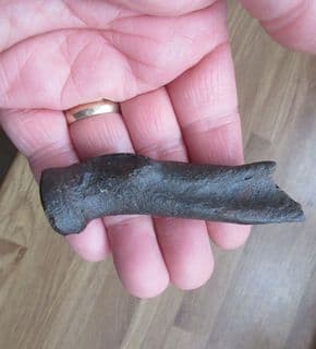 Llama radius from Florida