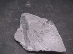 Mariopteris  and cordaites