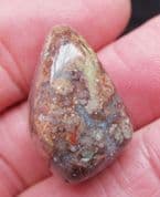 Mawsonia madaginia Stromatolite