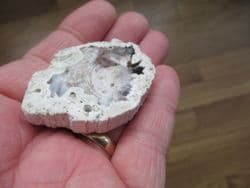 Petrified Opalised wood from Hungary