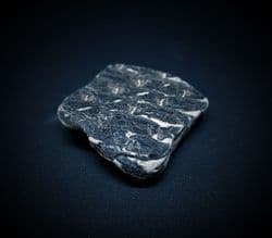Pholidophoroides  scales
