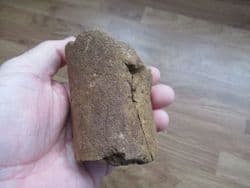 Pliosaur propodial from Faringdon