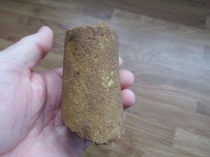 Pliosaur propodial from Faringdon