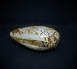 Polished Gressyla