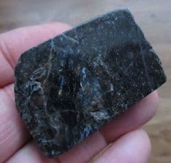 Rhynie chert Polished