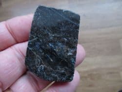 Rhynie chert Polished