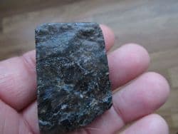 Rhynie chert Polished
