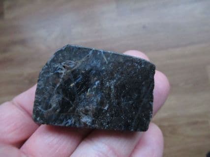 Rhynie chert Polished