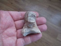 Romanian Cave bear Ankle bone