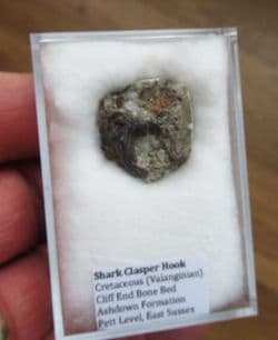 Shark Clasper hook from Sussex