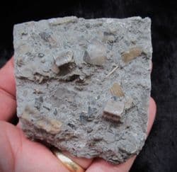 Sinemurian packed lens just beautiful!