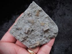 Sinemurian packed lens just beautiful!