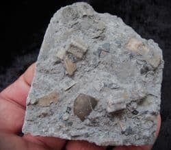 Sinemurian packed lens just beautiful!