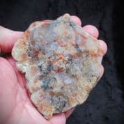 Stunning Colours Dinosaur Coprolite