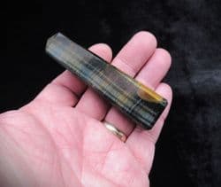 Tigers eye Blue Tower