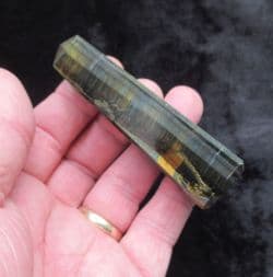 Tigers eye Blue Tower