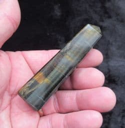 Tigers eye Blue Tower