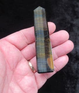 Tigers eye Blue Tower