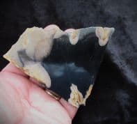 Tropical Hardwood from Indonesia