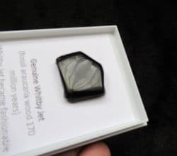 Whitby Jet