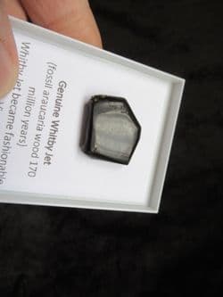 Whitby Jet