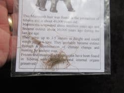 Wooly Mammoth hair !
