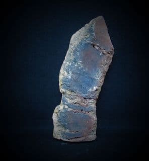 Zaphrentis Mudstonensis (Champernowne 1884)